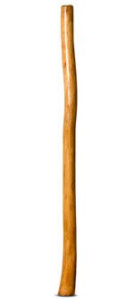 Gloss Finish Didgeridoo (TW924)